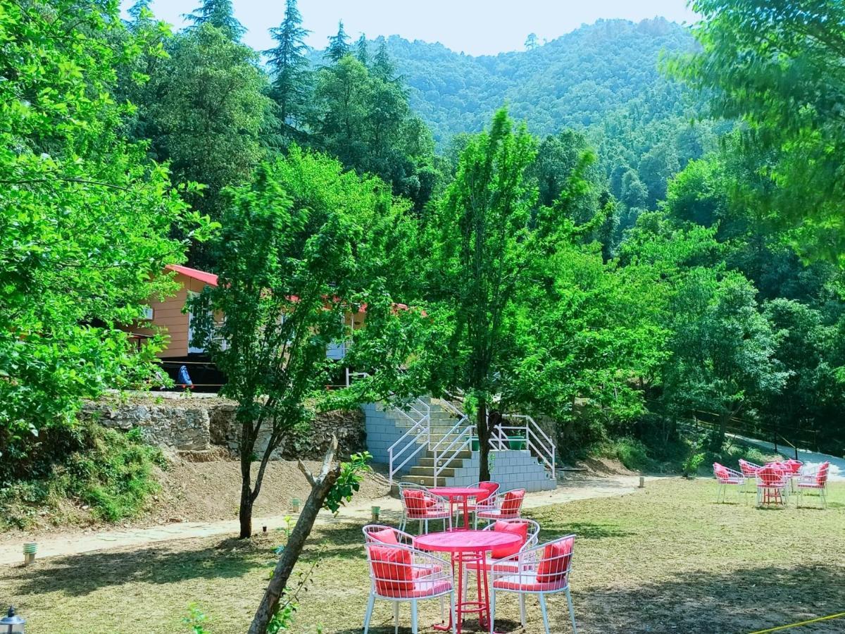 Aaroham Resort Shimla ! Luxury Cottage By Aamod Group Exterior photo